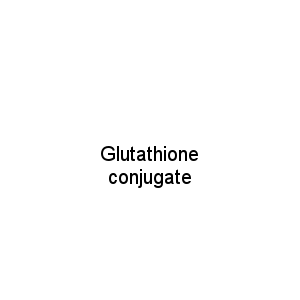 Glutathione conjugate